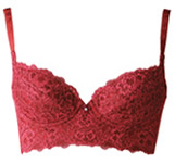 ブラジャーの写真