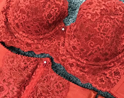 ブラジャーのアップ写真