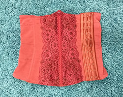 ニッパーの写真